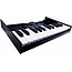 Roland K-25m für Boutique-Tastatur Synthesizer