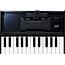Roland K-25m für Boutique-Tastatur Synthesizer