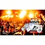 Alpine Partyplug  oordoppen gehoorbescherming ALP-PP/TP