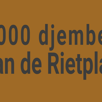 1000 djembes Rietplas