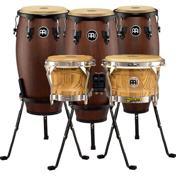 Bongo Conga
