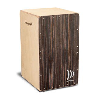 Busscherdrums Cajon huur cursus van 10 lessen