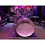 Gretsch Renown maple Silver Oyster Pearl shellkit 10-12-16FT-22K