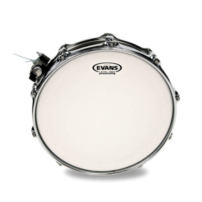 Evans B14DRY Genera dry batter 14" coated