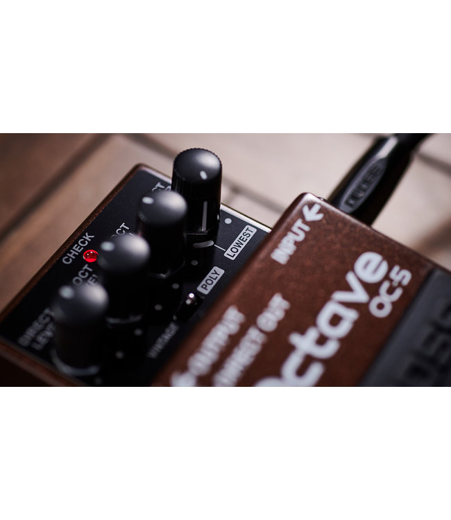 Boss OC-5 Octave gitaar effects