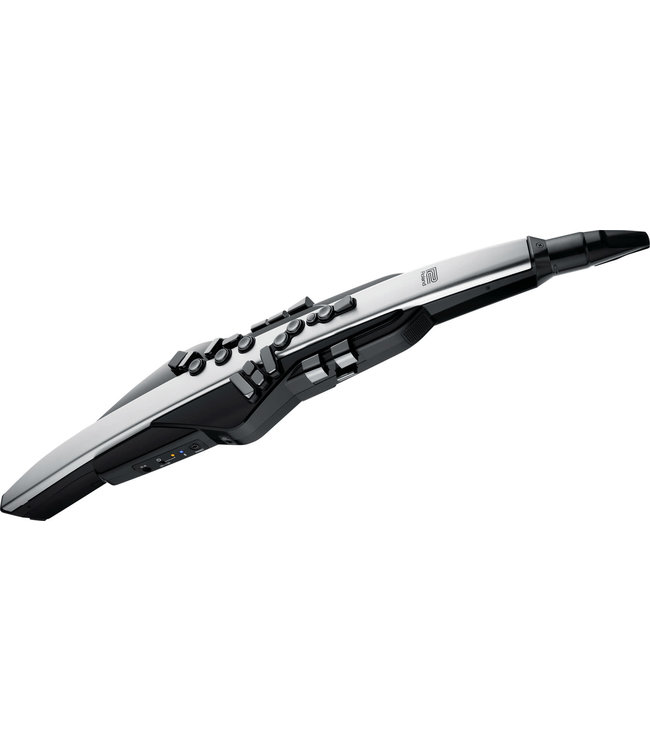 Roland AE-30 Aerophone Pro