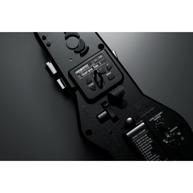 Roland AE-30 Aerophone Pro