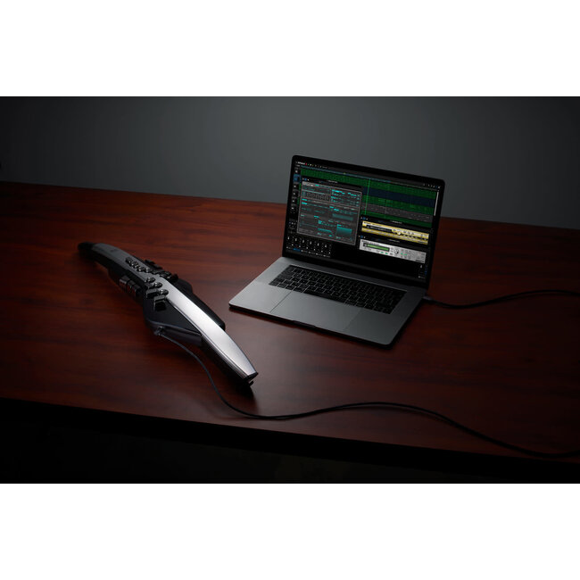 Roland AE-30 Aerophone Pro