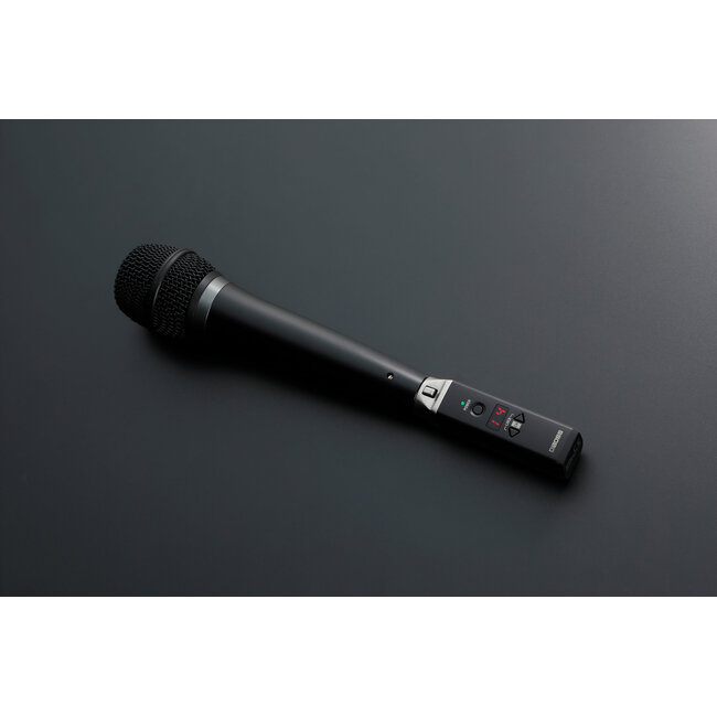 Boss WL-30XLR wireless system