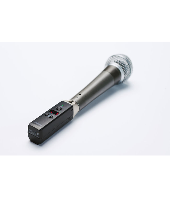 Boss WL-30XLR wireless system