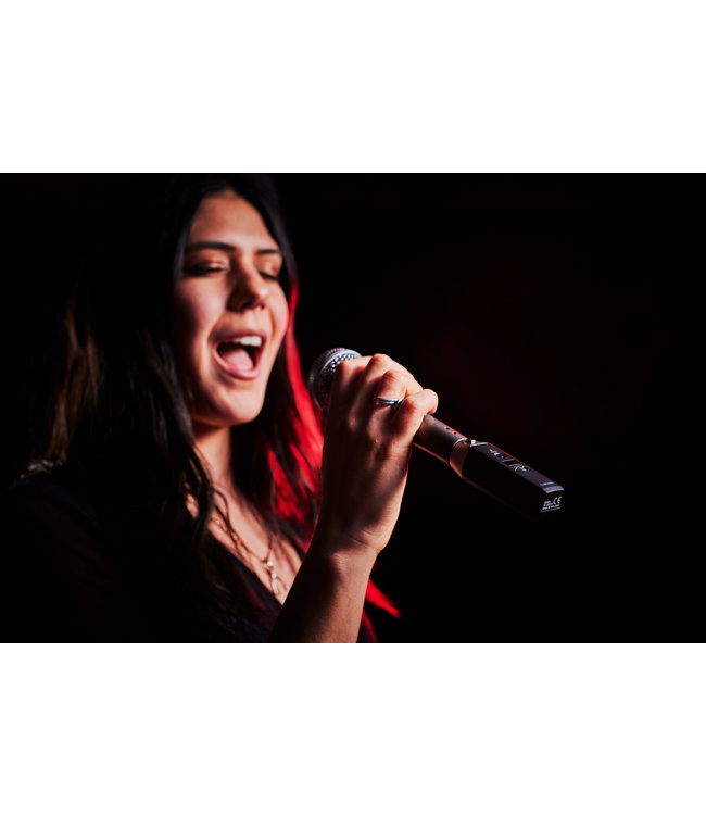 Boss WL-30XLR wireless system