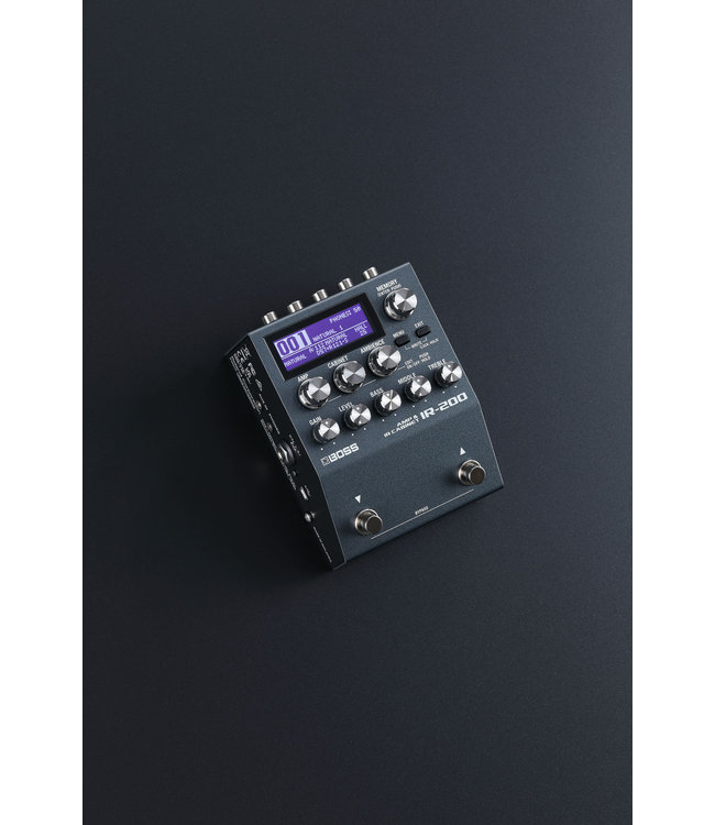 Boss IR-200 Amp & IR Cabinet