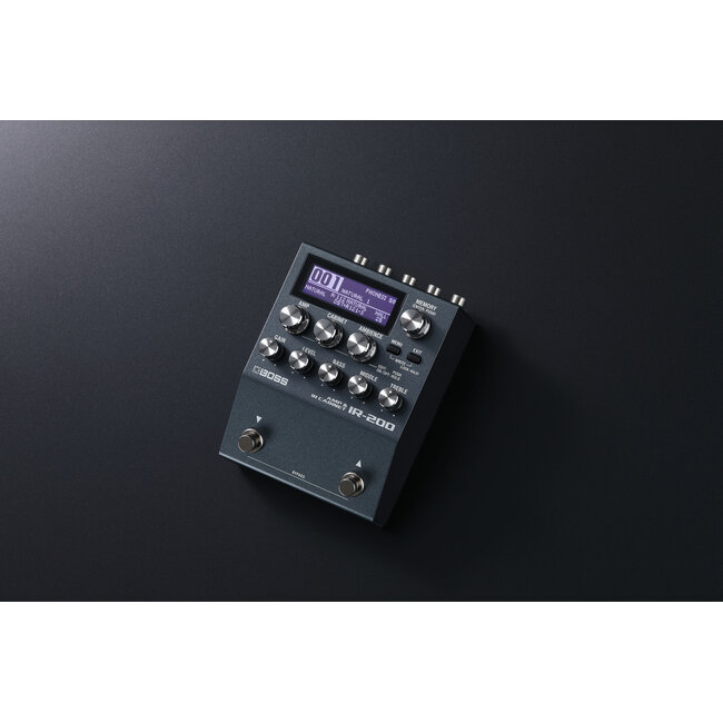 Boss IR-200 Amp & IR Cabinet