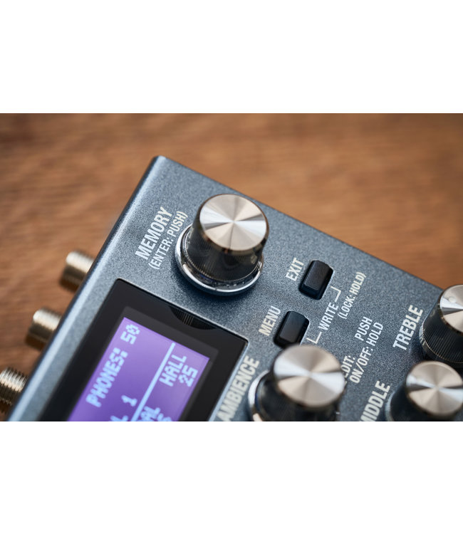 Boss IR-200 Amp & IR Cabinet