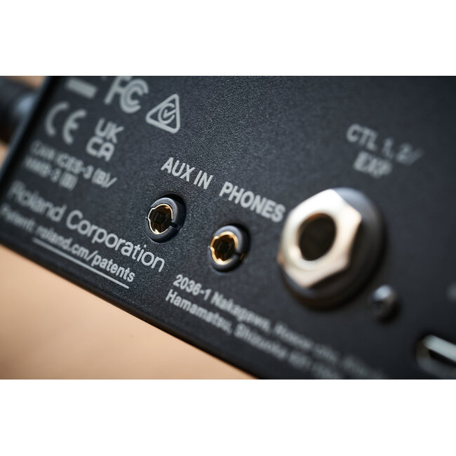 Boss IR-200 Amp & IR Cabinet