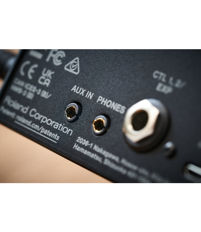 Boss IR-200 Amp & IR Cabinet