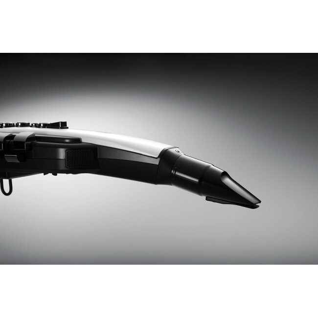 Roland AE-20 AEROPHONE DIGITAL WIND INSTRUMENT