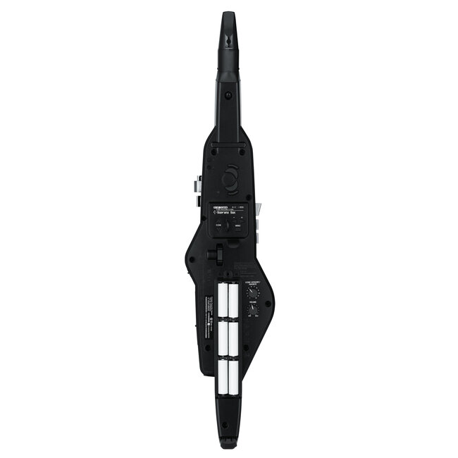 Roland AE-20 AEROPHONE DIGITAL WIND INSTRUMENT
