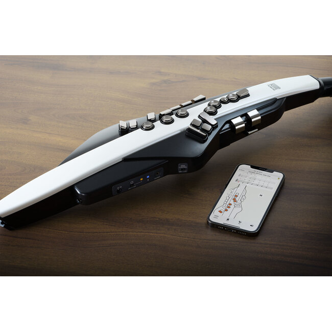 Roland AE-20 AEROPHONE DIGITAL WIND INSTRUMENT