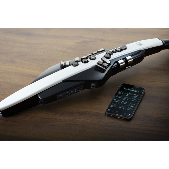 Roland AE-20 AEROPHONE DIGITAL WIND INSTRUMENT