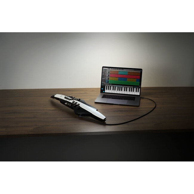 Roland AE-20 AEROPHONE DIGITAL WIND INSTRUMENT