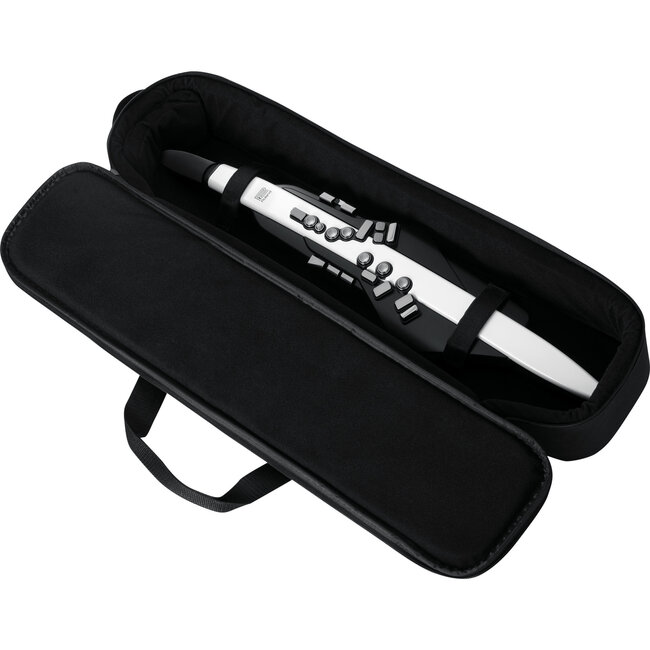 Roland AE-20 AEROPHONE DIGITAL WIND INSTRUMENT