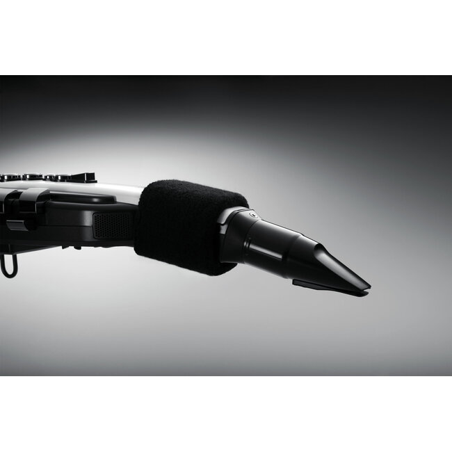 Roland AE-20 AEROPHONE DIGITAL WIND INSTRUMENT