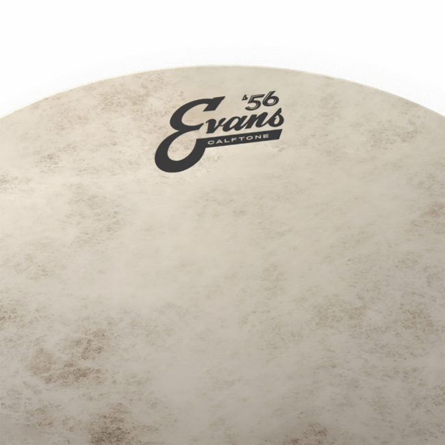 Evans TT14C7 CALFTONE tom snare vel 14"