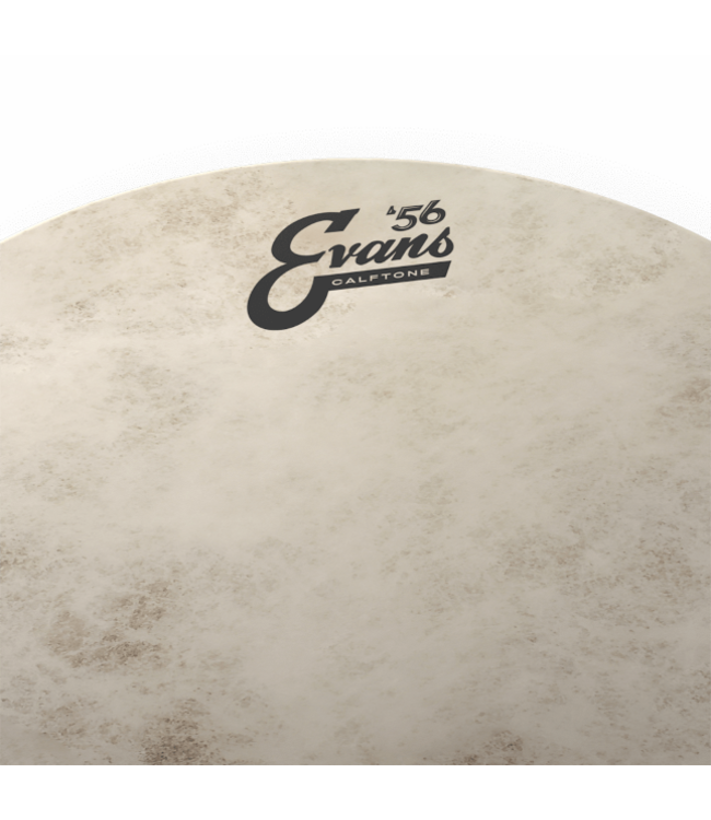 Evans EVANS EVATT14C7 CALFTONE tom snare sheet 14 "