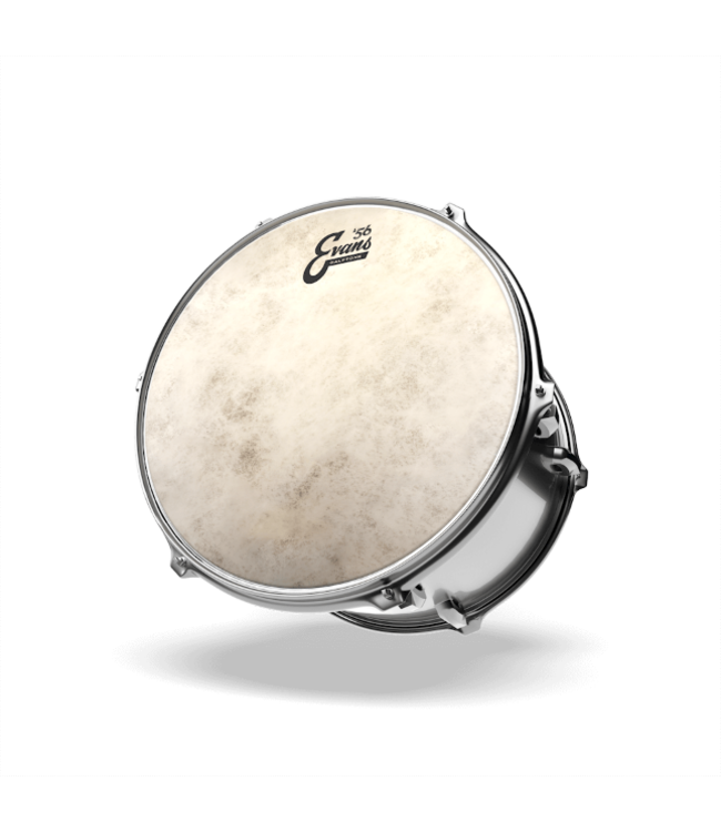 Evans EVANS EVATT14C7 CALFTONE tom snare sheet 14 "