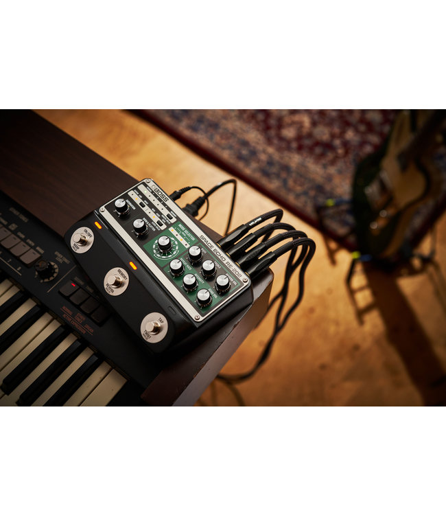 Boss RE-202 Space Echo effect pedal