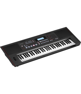 Roland E-X50 keyboard entertainment
