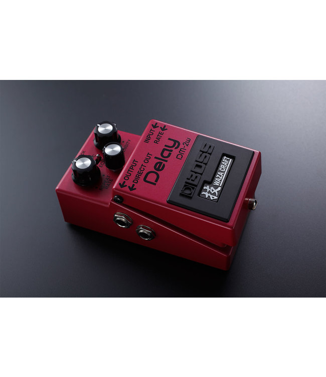 Boss DM-2W Delay