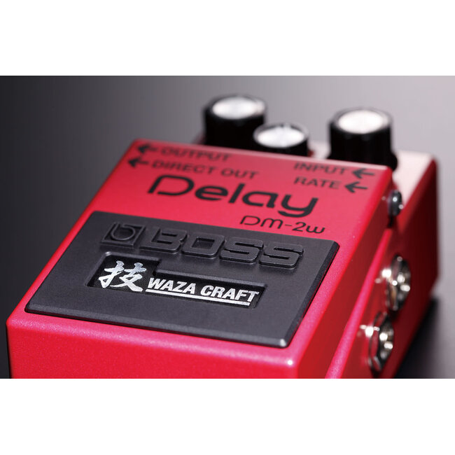 Boss DM-2W Delay