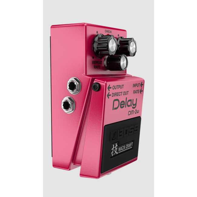 Boss DM-2W Delay