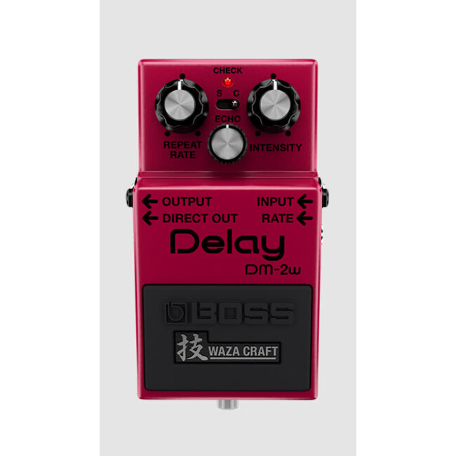 Boss DM-2W Delay