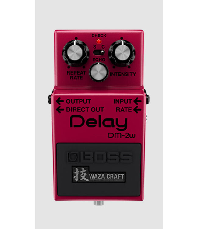 Boss DM-2W Delay