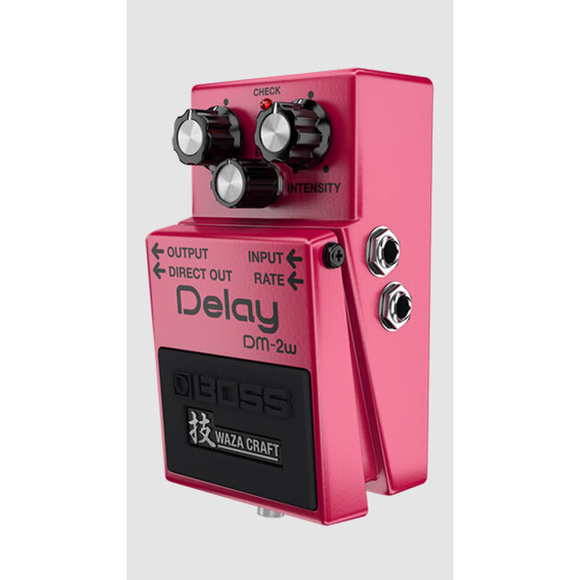 Boss DM-2W Delay