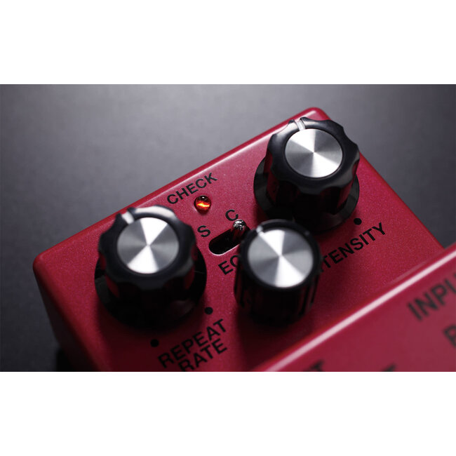 Boss DM-2W Delay