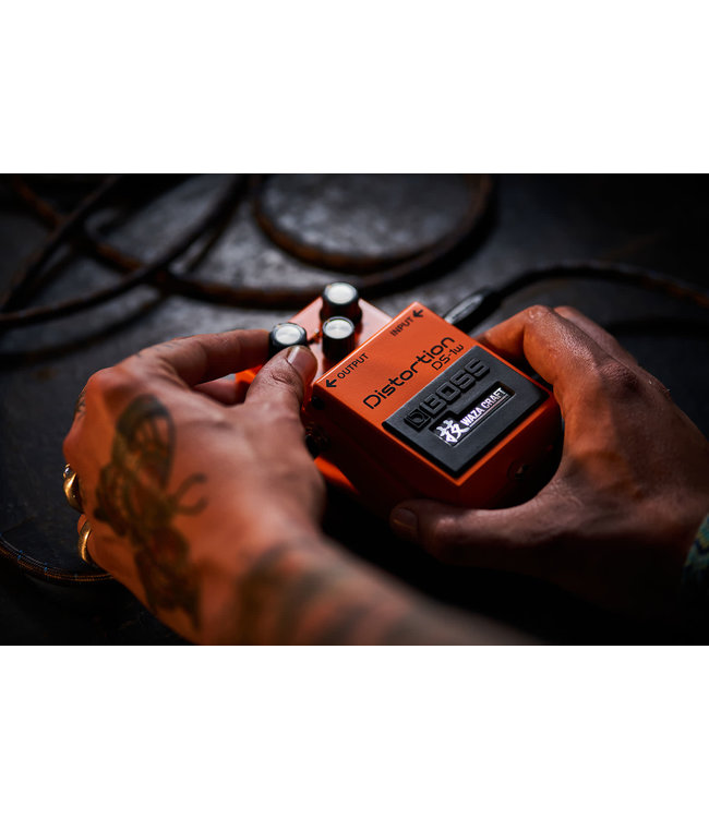 Boss DS-1W   WAZA DISTORTION