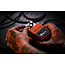 Boss DS-1W   WAZA DISTORTION