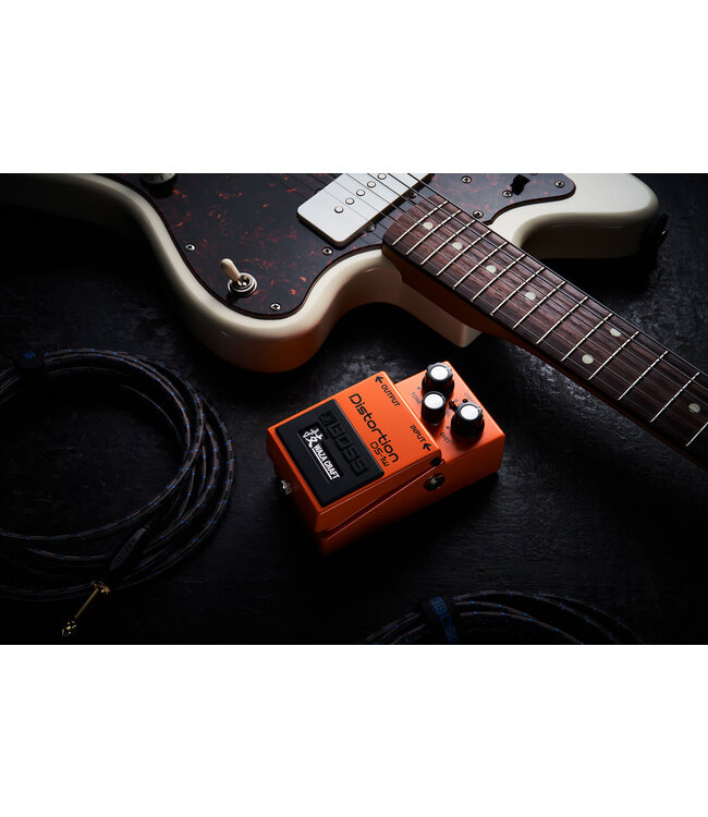 Boss DS-1W   WAZA DISTORTION