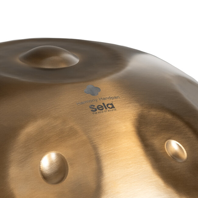Sela SE 201 Harmony Handpan D Kurd Stainless Steel incl. tas winkel model