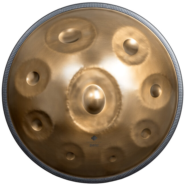 Sela SE 201 Harmony Handpan D Kurd Stainless Steel incl. tas winkel model
