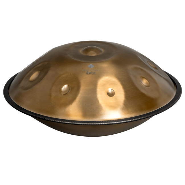Sela SE 201 Harmony Handpan D Kurd Stainless Steel incl. tas winkel model