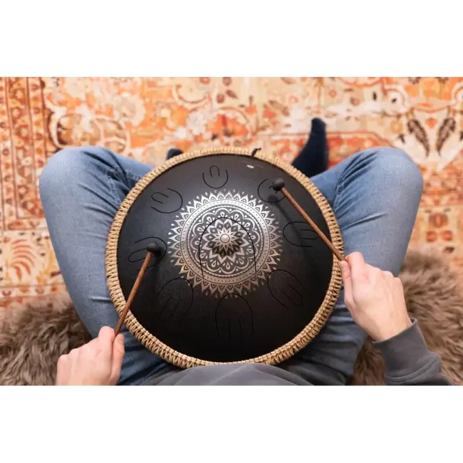 Meinl OSTD1BKE STEEL TONGUE DRUM D Meinl