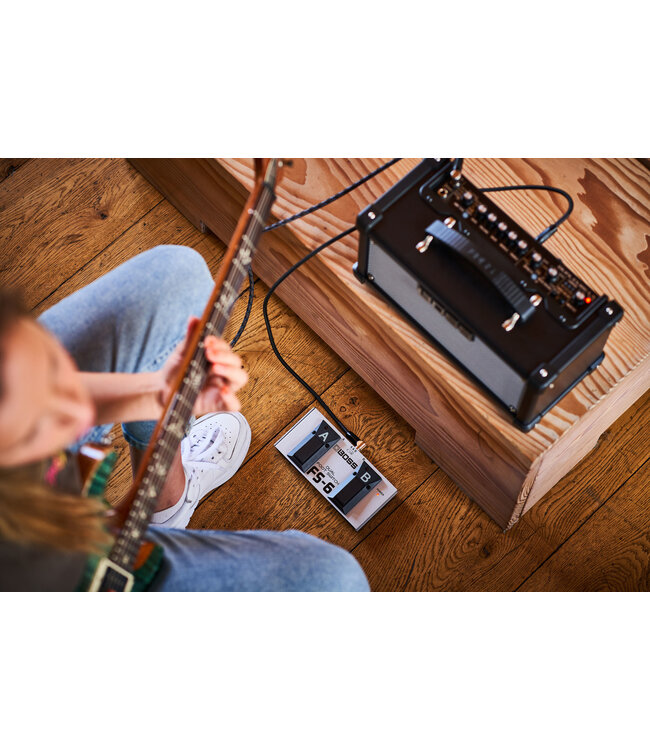 Boss BOSS D-CUBE LX DUAL CUBE LX GUITAR AMPLIFIER