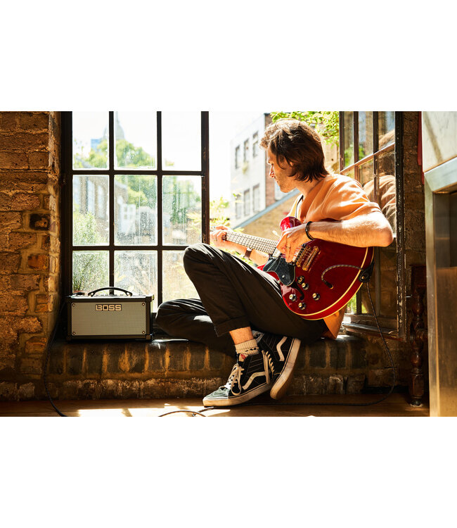 Boss BOSS D-CUBE LX DUAL CUBE LX GUITAR AMPLIFIER