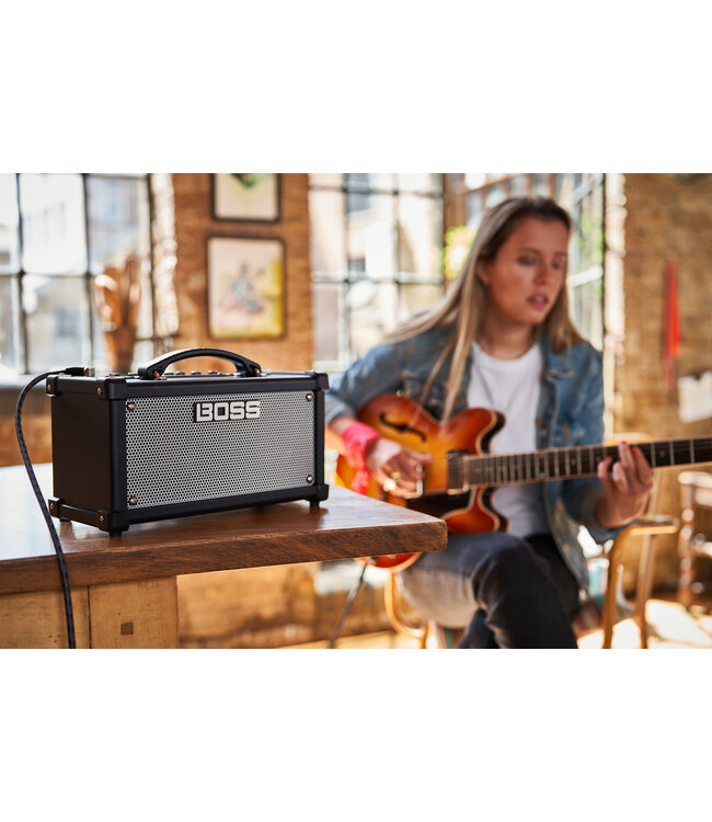 Boss BOSS D-CUBE LX DUAL CUBE LX GUITAR AMPLIFIER