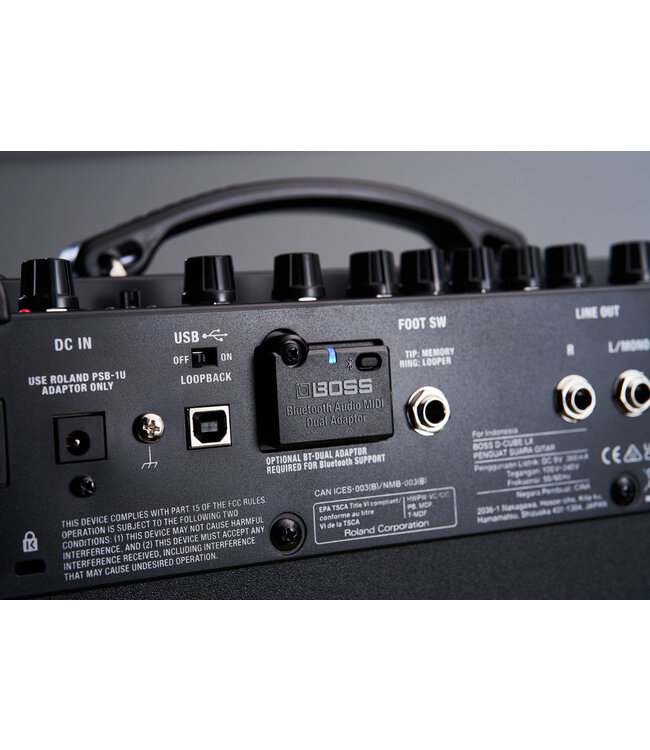 Boss BOSS D-CUBE LX DUAL CUBE LX GUITAR AMPLIFIER